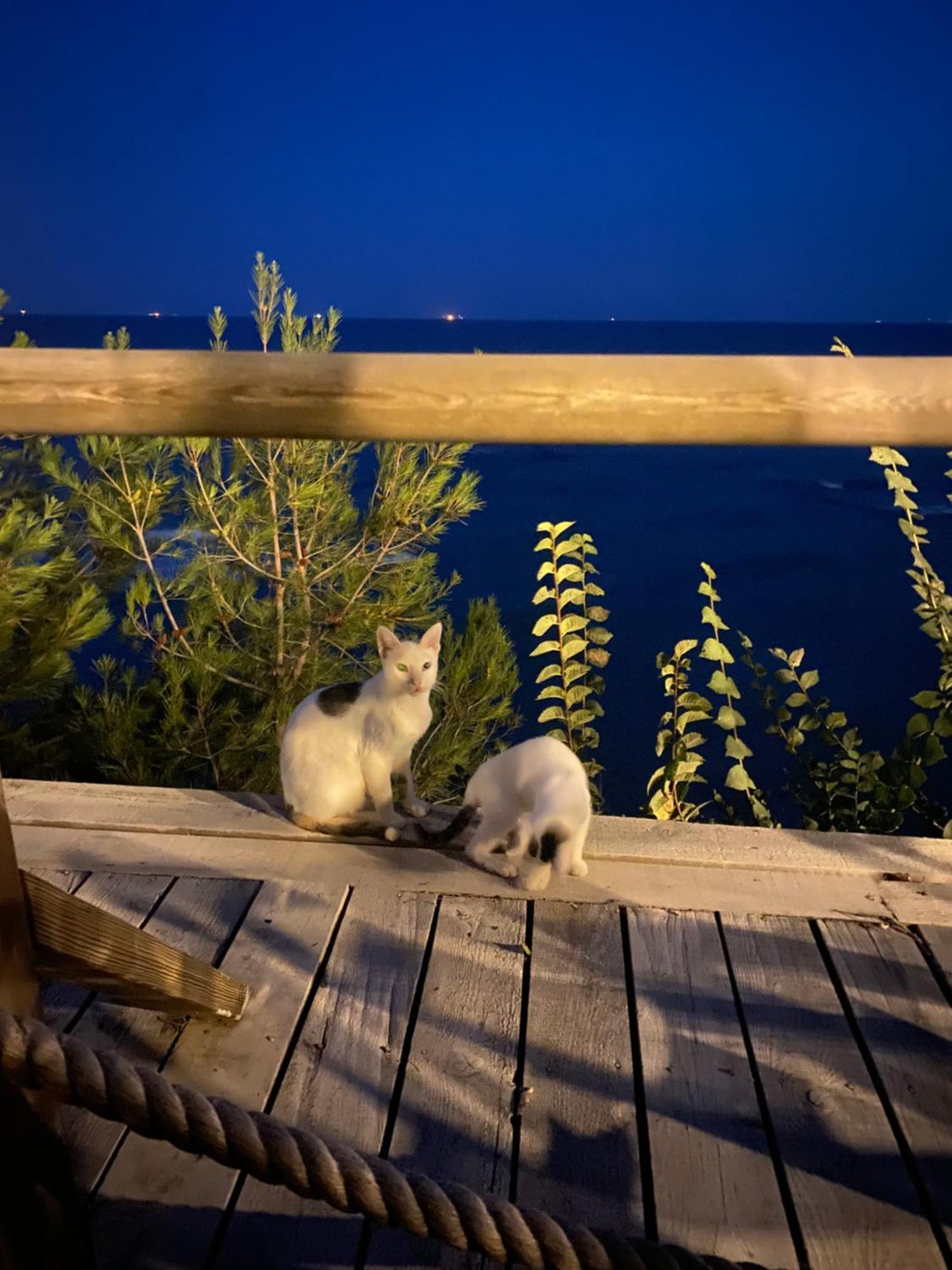 Pia Mare Otel Gunduzlu Bagian luar foto